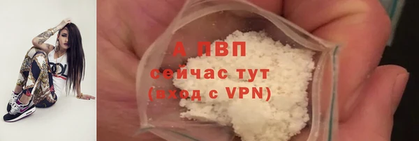 Альфа ПВП Белокуриха